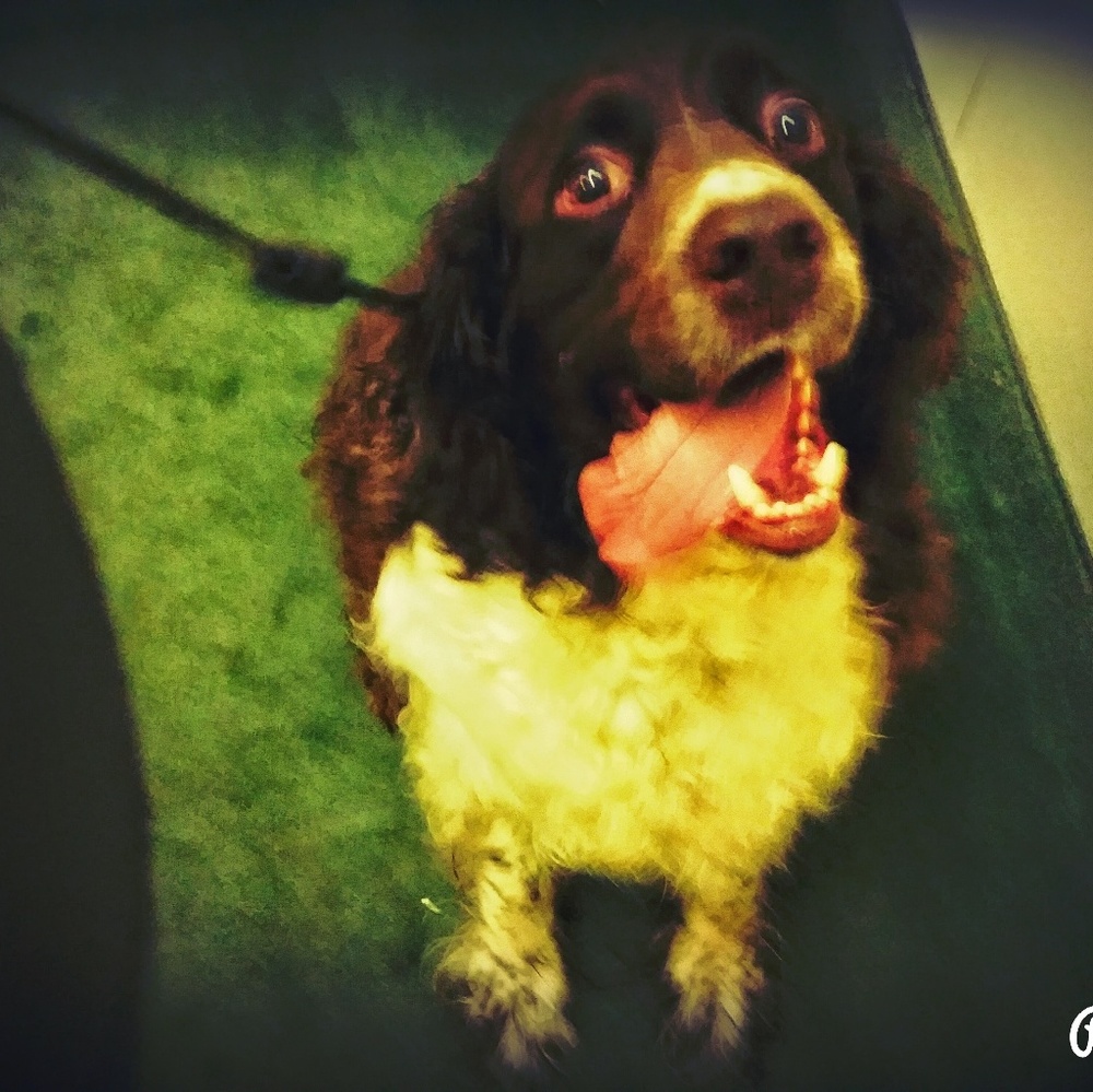 Meet your Posher, Misti